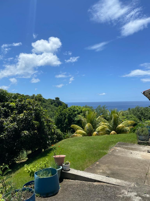 Land for sale in Morne Daniel, Dominica.