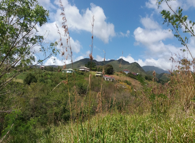 Dominica real estate, land for sale in Salisbury, Dominica.